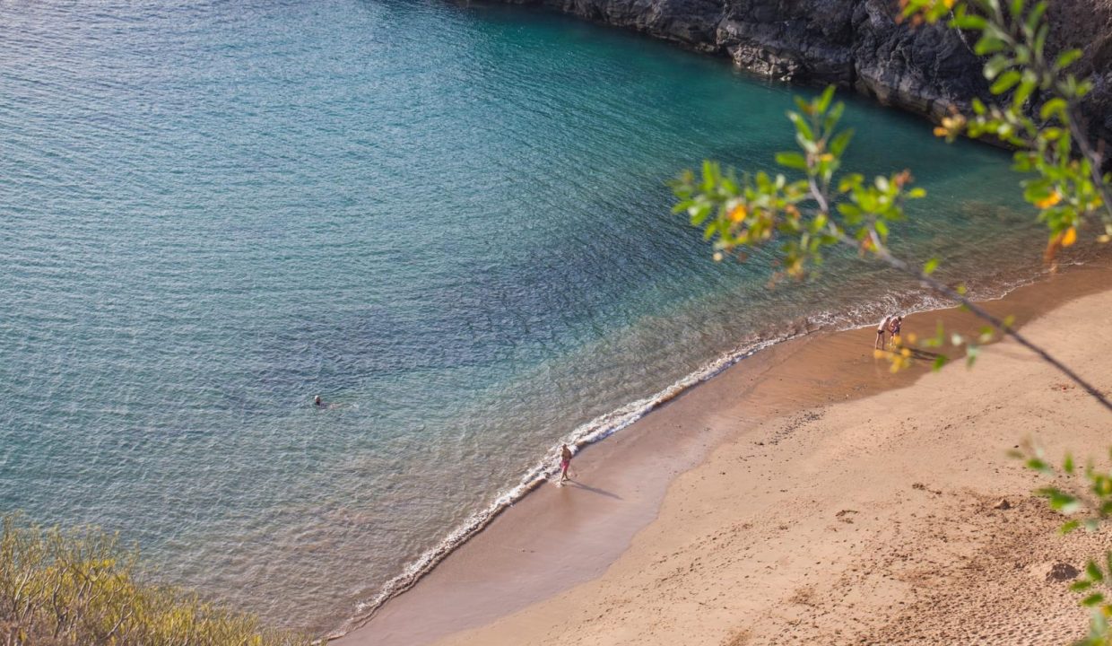 0aafd3a9-7748-434c-92bf-b4e22aa94b41