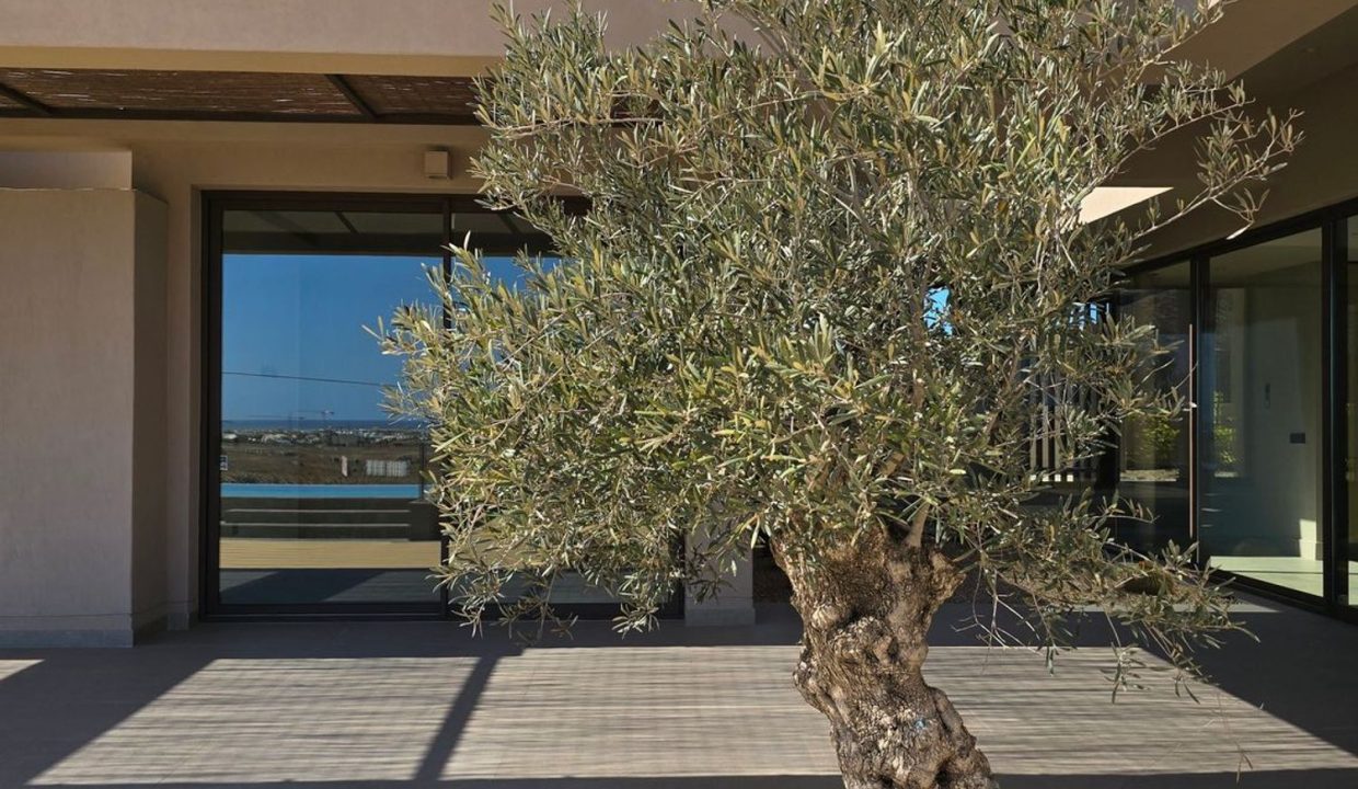 MORRO FRANCISCO N (9)